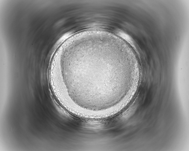 X0000084521338200703161540