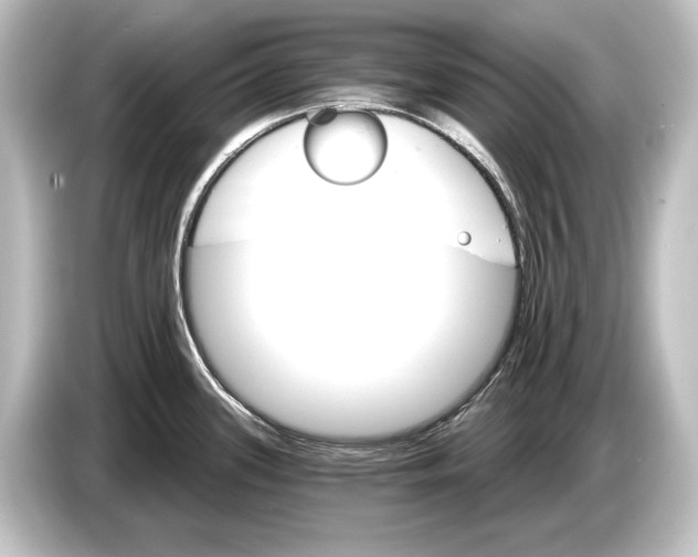 X0000084521339200703161540