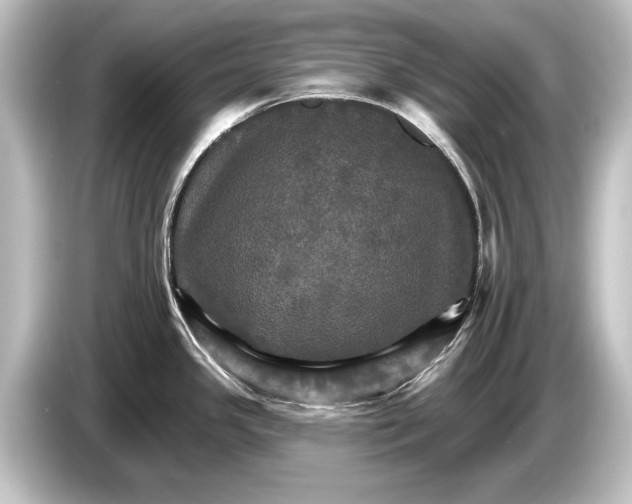 X0000084521341200703161540