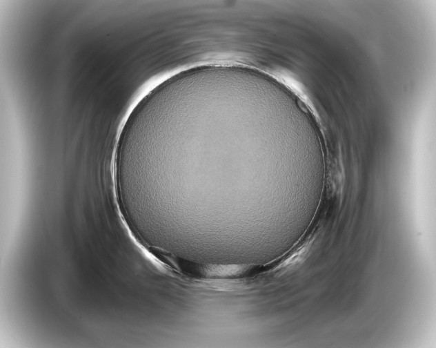 X0000084521343200703161540