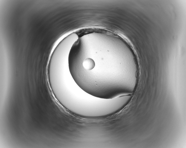 X0000084521344200703161540