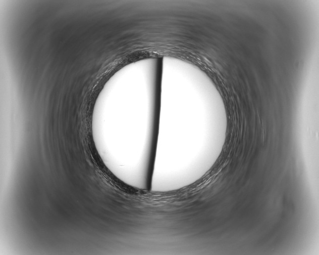 X0000084521345200703161539