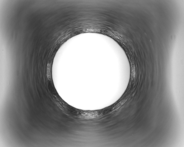 X0000084521346200703161539