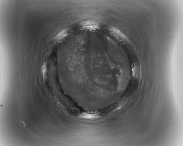 X0000084521347200703161539