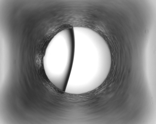 X0000084521348200703161539