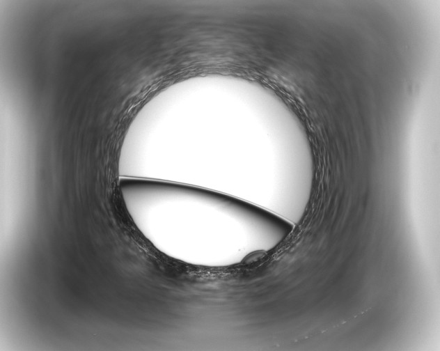 X0000084521349200703161539