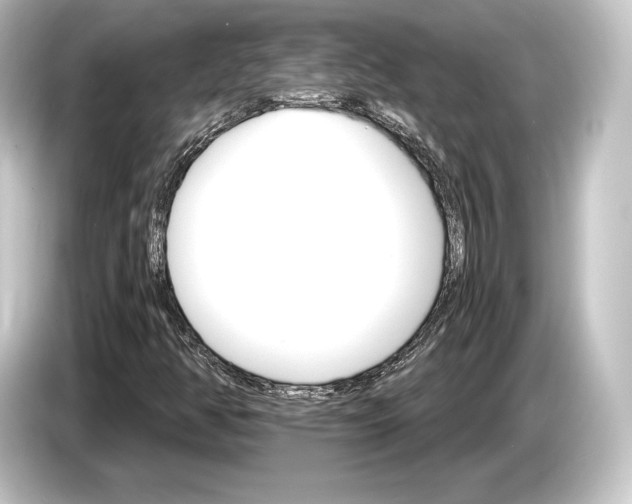 X0000084521350200703161539