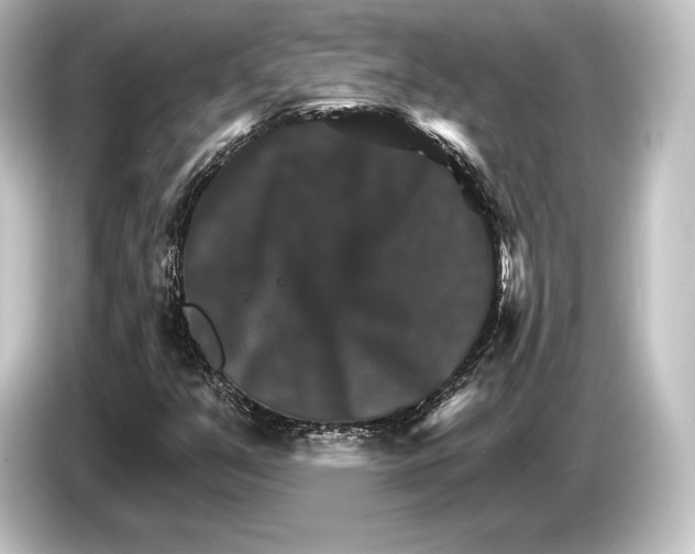 X0000084521351200703161539