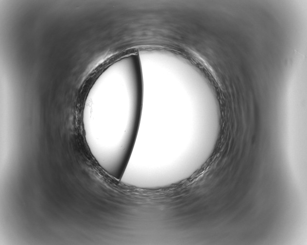 X0000084521352200703161539