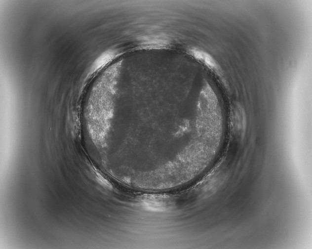 X0000084521354200703161539