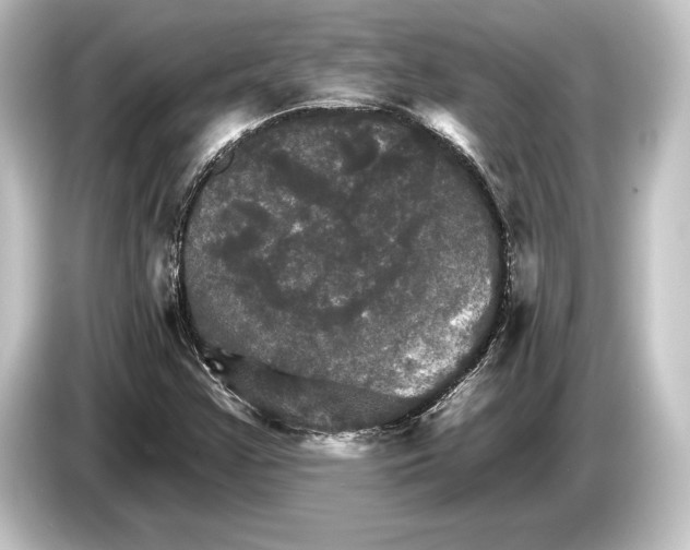 X0000084521355200703161539