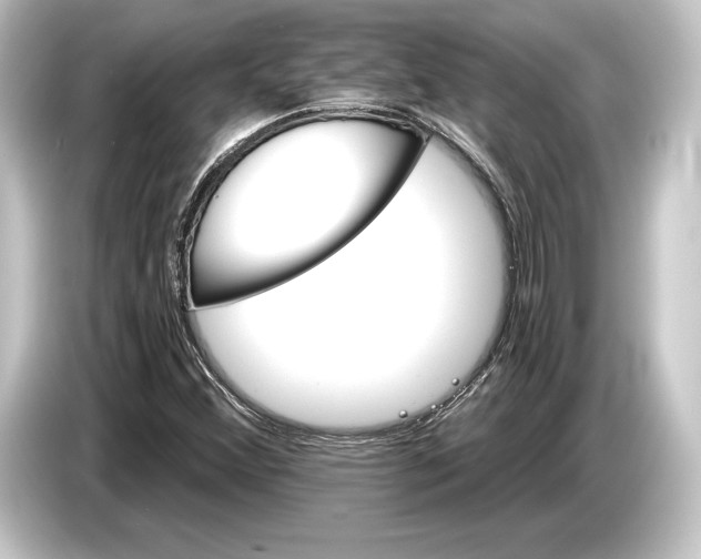 X0000084521356200703161539