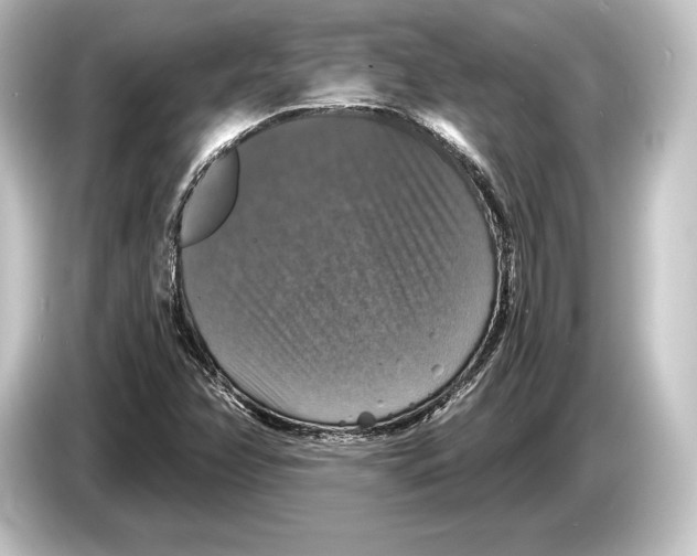 X0000084521358200703161539