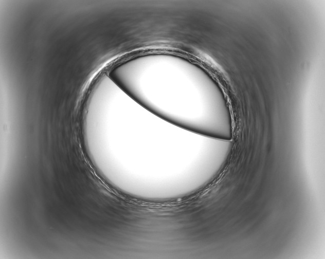 X0000084521360200703161539