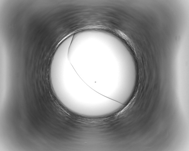 X0000084521361200703161539