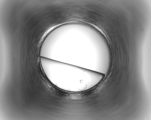 X0000084521363200703161539