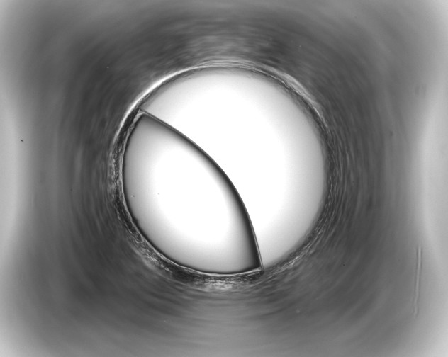 X0000084521364200703161539