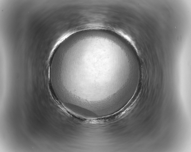 X0000084521365200703161539