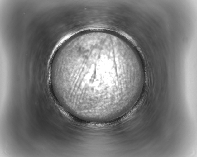 X0000084521366200703161539