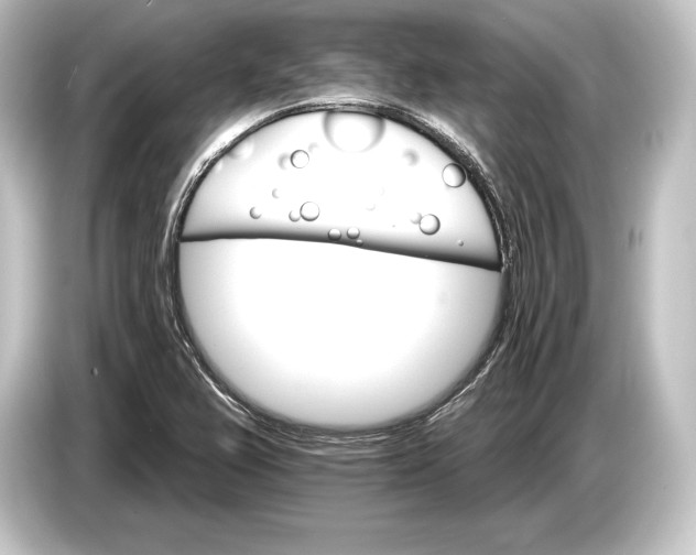 X0000084521367200703161539