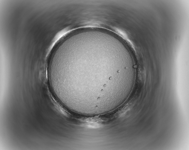 X0000084521368200703161539