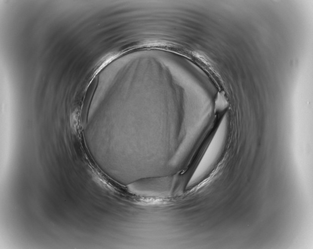 X0000084521369200703161539