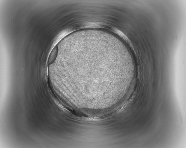 X0000084521370200703161539