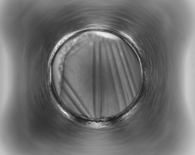 X0000084521371200703161539