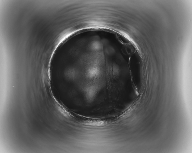 X0000084521372200703161539