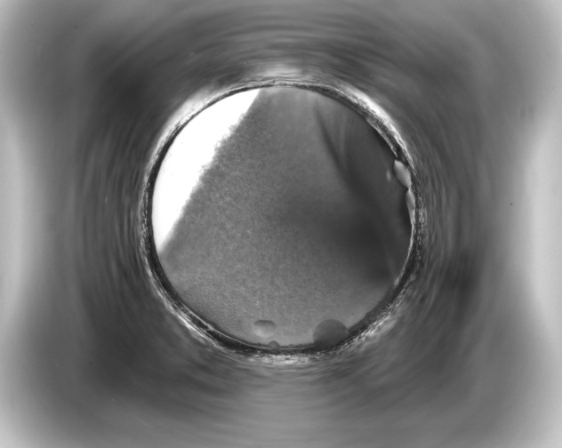 X0000084521373200703161539