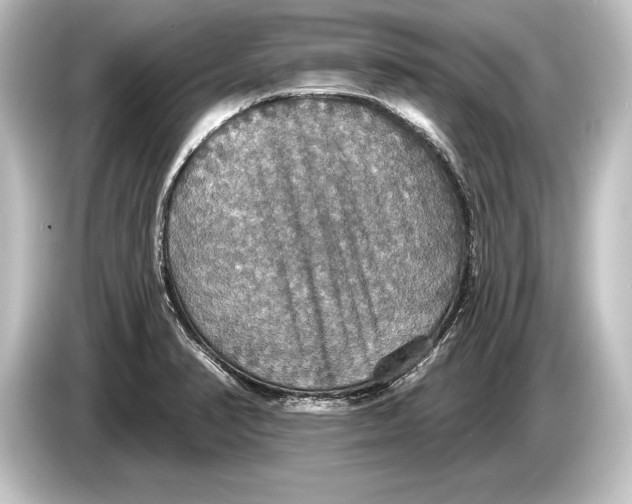 X0000084521374200703161539