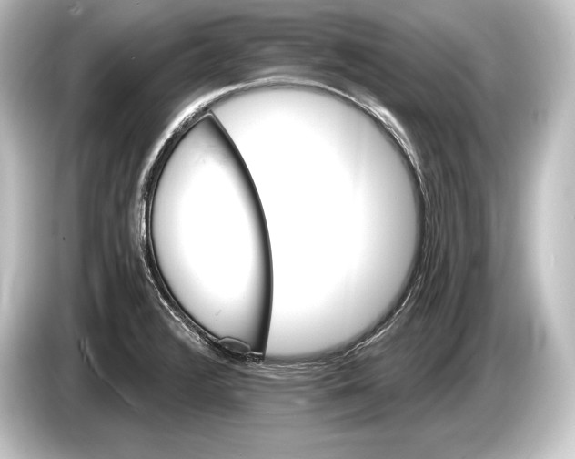 X0000084521376200703161539