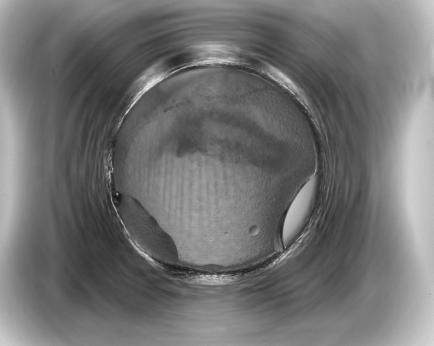 X0000084521377200703161539