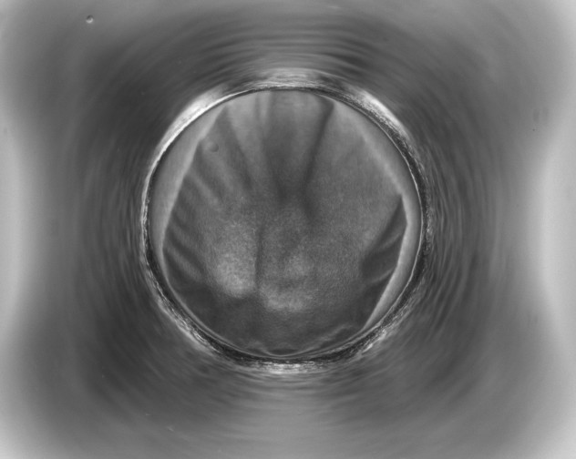 X0000084521378200703161539