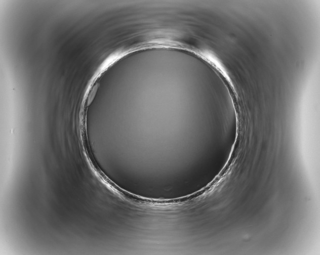 X0000084521381200703161539