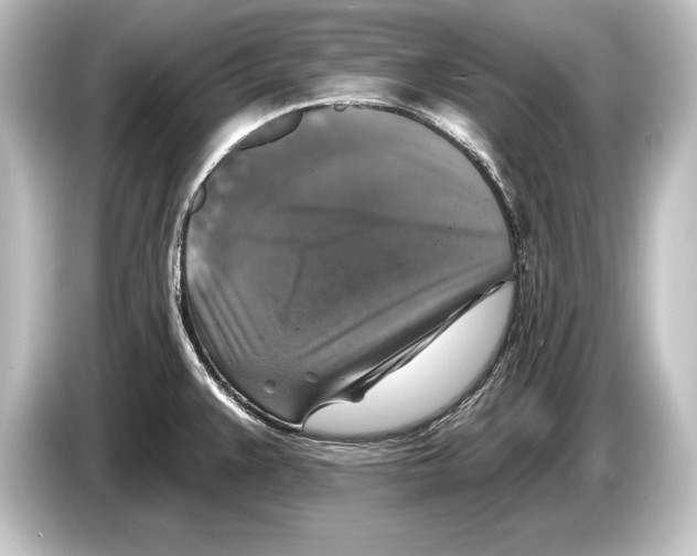 X0000084521383200703161539