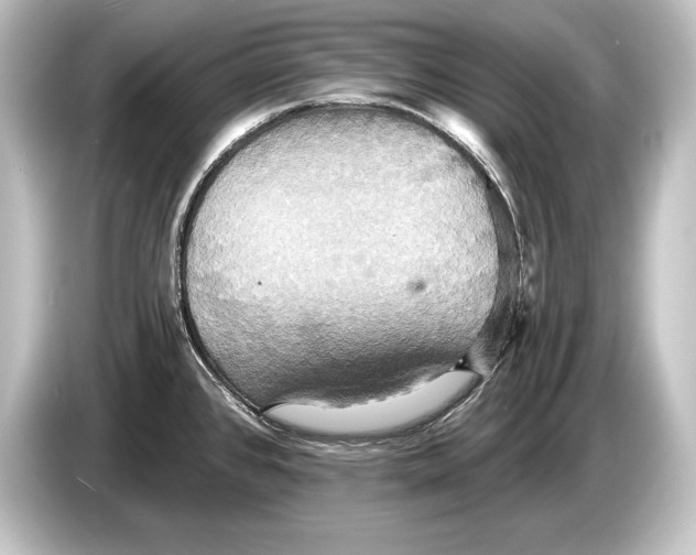 X0000084521384200703161539