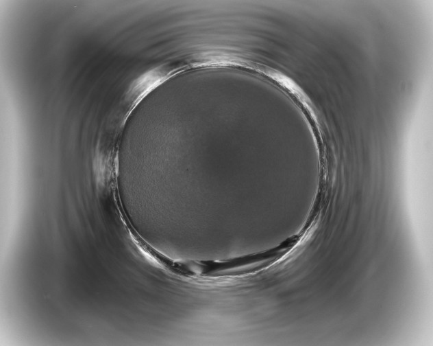 X0000084521385200703161539