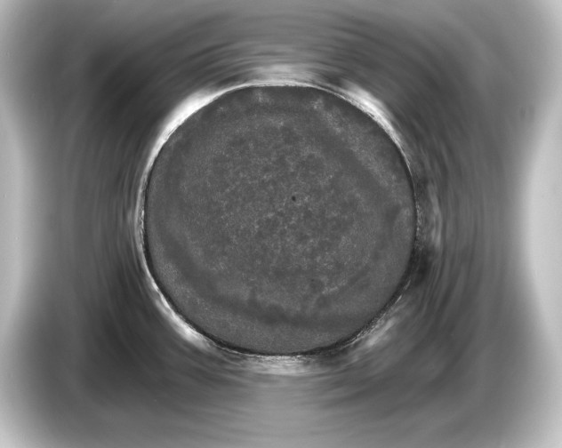 X0000084521387200703161539