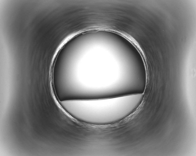 X0000084521389200703161539