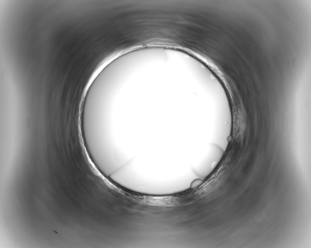 X0000084521390200703161539