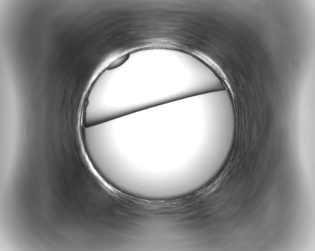 X0000084521391200703161539