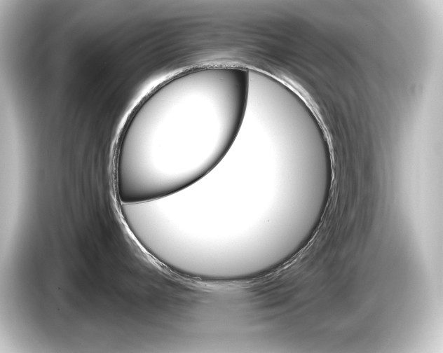 X0000084521392200703161539