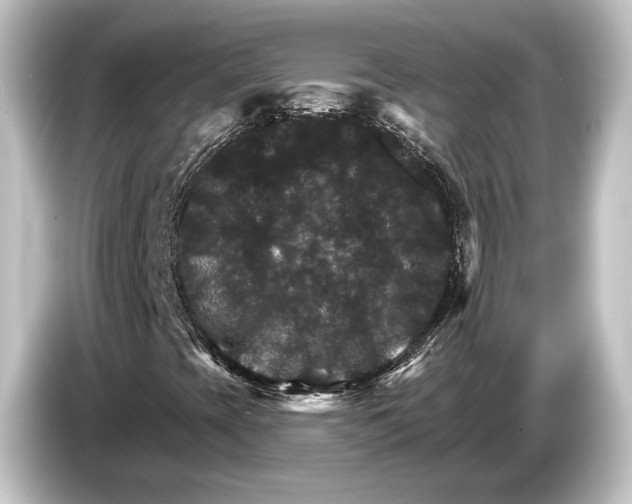 X0000084521393200703161538