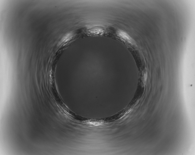 X0000084521394200703161538