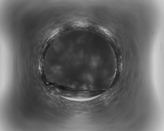 X0000084521397200703161538