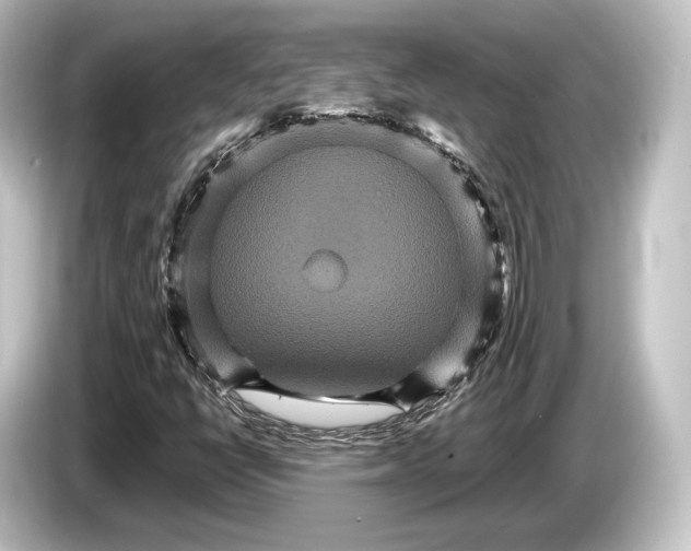 X0000084521398200703161538