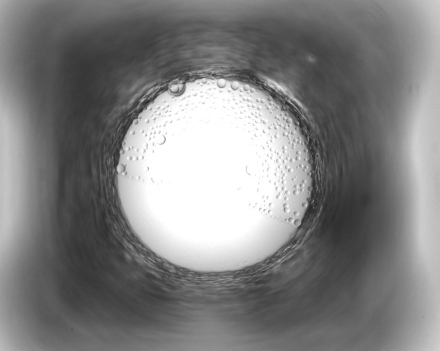 X0000084521399200703161538