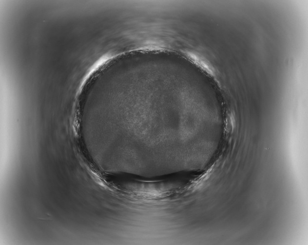 X0000084521400200703161538