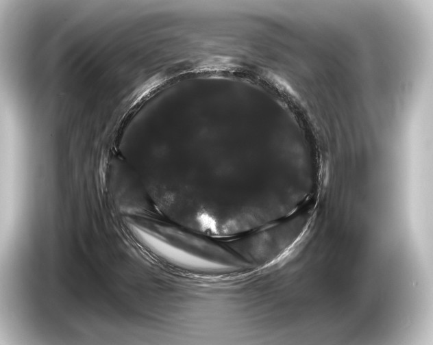 X0000084521401200703161538